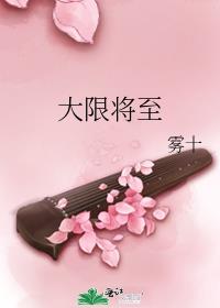 大限将至小说