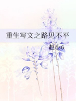 重生之写文txt书包网