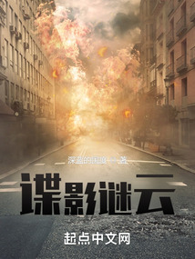 谍影谜云小说