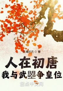 人在初唐我与武渍饰TXT