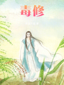 毒修小说免费笔趣阁