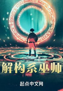 解构系巫师 小说