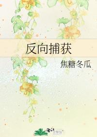 反向捕获天地皆入梦