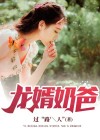 龙婿奶爸叶尘