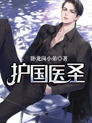 护国医圣 小说