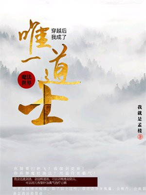 穿越魔法世界我成了唯一道士