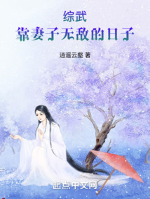 综武:靠妻子无敌的日子