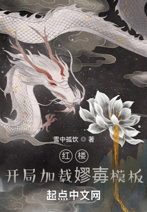 红楼:开局加载蹦0