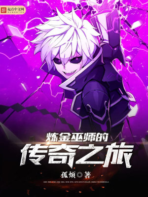 炼金巫师小说