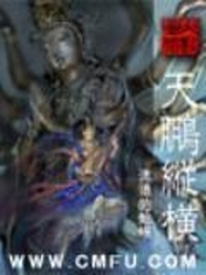 天鹏纵横TXT免费下载八零