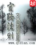 官路法则免费阅读全文