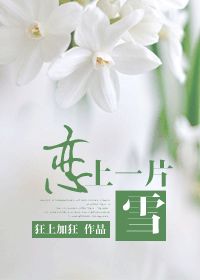 恋上一片雪晋江