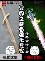 异界之装备强化专家TXT下载