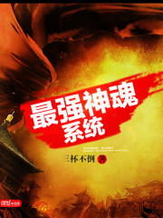 最强神魂系统 薯条