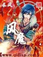 风魔米娜2代码大全