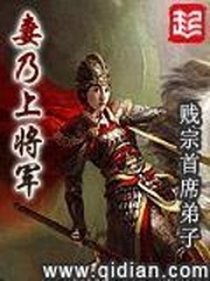 妻乃上将军书评怎么样
