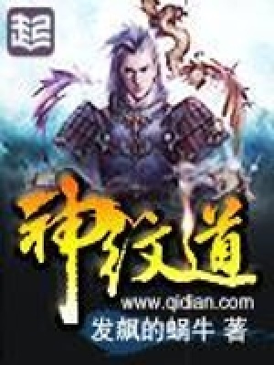 神纹道小说