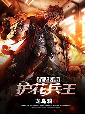 护花兵王在都市(天线无痕)TXT下载