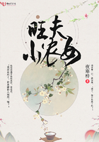 穿越之旺夫小农女
