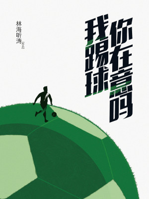 我踢球你在意吗 小说