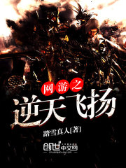 网游之逆天飞扬TXT