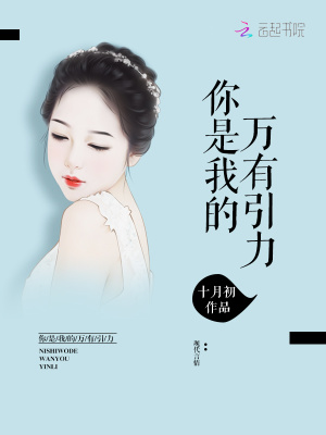 你是我的万有引力小说