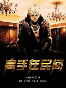 高手在民间完整版全集免费
