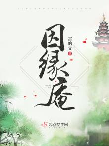 因缘庵小说