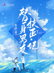 替身男友扶正记小说