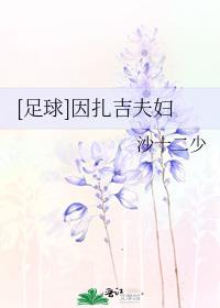 足球小说以因扎吉模板开始的