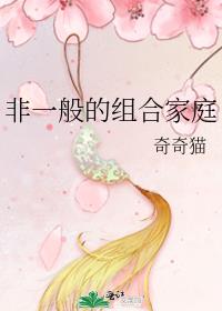 非一般的组合家庭 小说