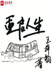 重启人生之回复术士2