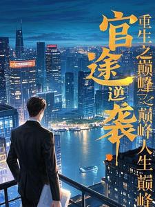 重生之官路巅峰仕途