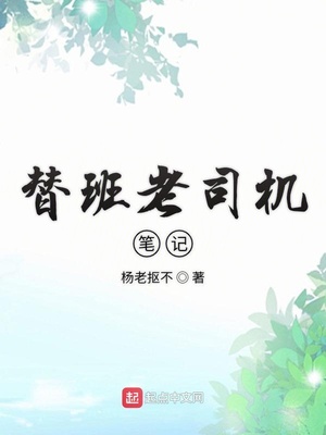 替班老司机笔记怎么写