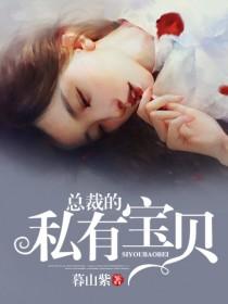 总裁的私有宝贝1