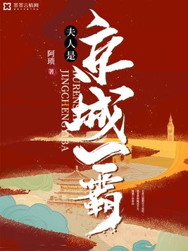 夫人是京城一霸完整版