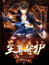 至尊守护2需要多少钱
