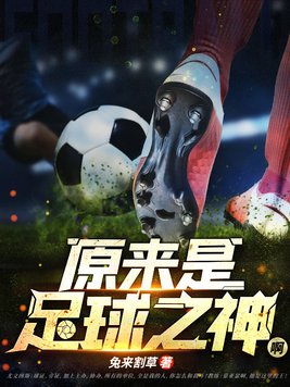 原来是足球之神啊小说