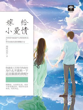 嫁给小爱情小说