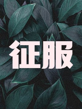 征服歌词完整版