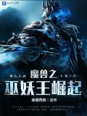 魔兽之巫妖王崛起笔趣阁