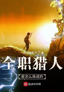 全职猎人是怎么炼成的 一夜风来花开