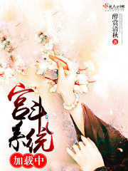 宫斗系统小说