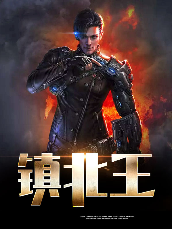 镇北王凌霄小说