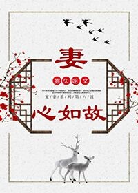 妻心如故小说全文免费阅读
