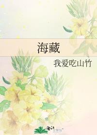 海藏一号红酒价格