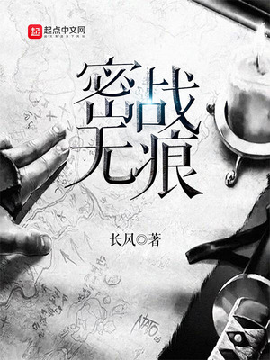 密战无痕顶点小说