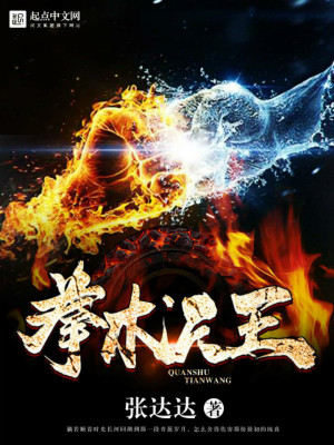 拳术冠军