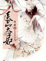 医品太子妃百度云