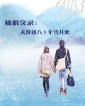 杨明穿越小说